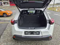 Lexus UX 300e Excellence