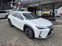 Lexus UX 300e Excellence