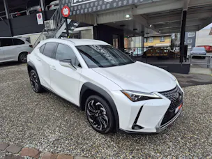 Lexus UX 300e Excellence