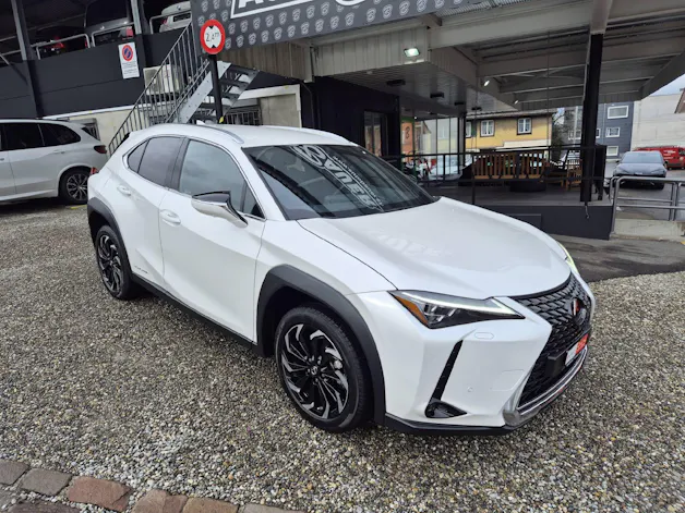 Lexus UX 300e Excellence