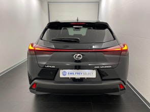 Vehicle image LEXUS UX 250h Comfort