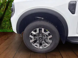 Ford Ranger DKab.Pick-up 2.3 EcoBoost 4x4 Wildtrak PHEV