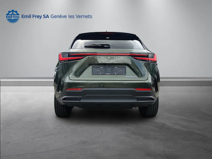 Fahrzeugbild LEXUS NX