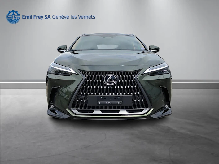 Fahrzeugbild LEXUS NX