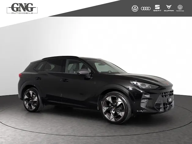 Cupra Terramar 2.0 TSI DSG 4Drive VZ