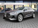 Audi e-tron 55 Sportback S Line quattro Daytonagrau Perleffekt