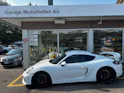 Porsche Cayman GT4