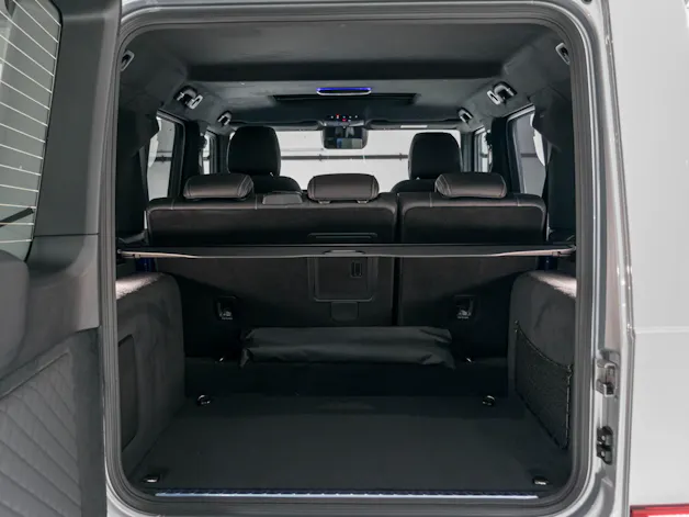 Mercedes-Benz G 450 d