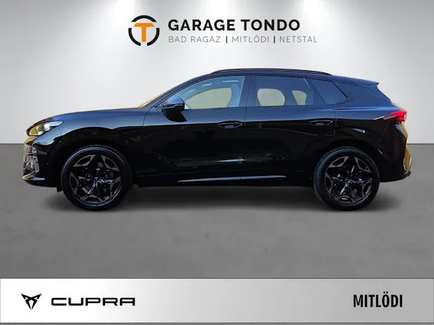 Cupra Terramar 2.0 TSI Prime Edition VZ 4Drive DSG
