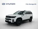 Hyundai Santa Fe 1.6 T-GDi PHEV Calligraphy 7PL