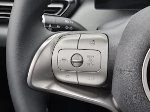 BYD Dolphin Surf Active