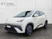 BYD Dolphin Surf Active