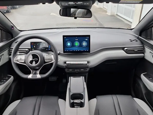 BYD Dolphin Surf Active