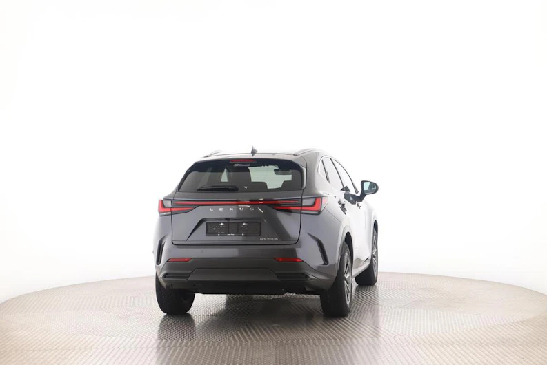 Fahrzeugbild LEXUS NX