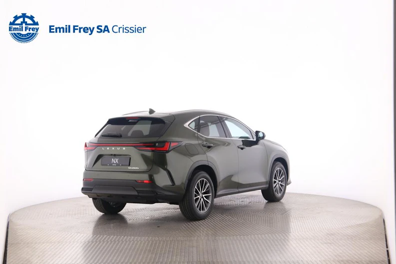 immagine del veicolo LEXUS NX