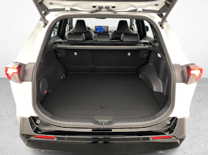 Fahrzeugbild TOYOTA RAV4 2.5 Plug-In-Hybrid Platinum