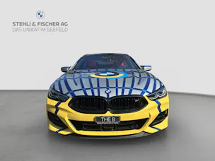 BMW M850i xDrive Steptronic JEFF KOONS 1 von 99