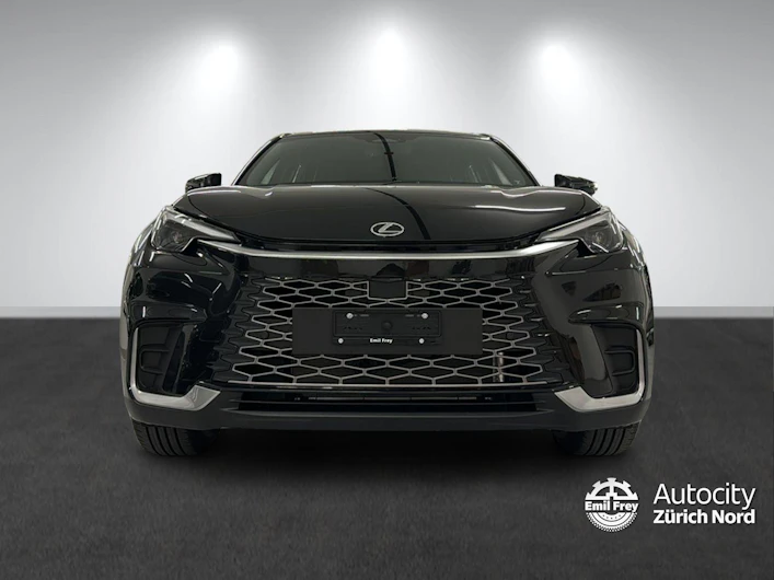 Fahrzeugbild LEXUS LBX