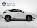 Lexus NX 350h Excellence