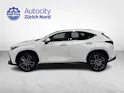 Lexus NX 350h Excellence