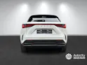 Lexus NX 350h F-Sport