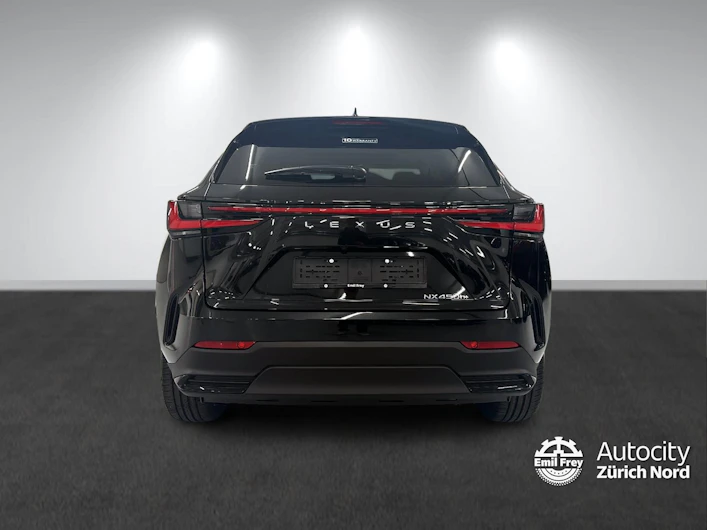 Fahrzeugbild LEXUS NX