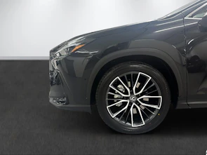 Fahrzeugbild LEXUS NX 450h+ F-Sport