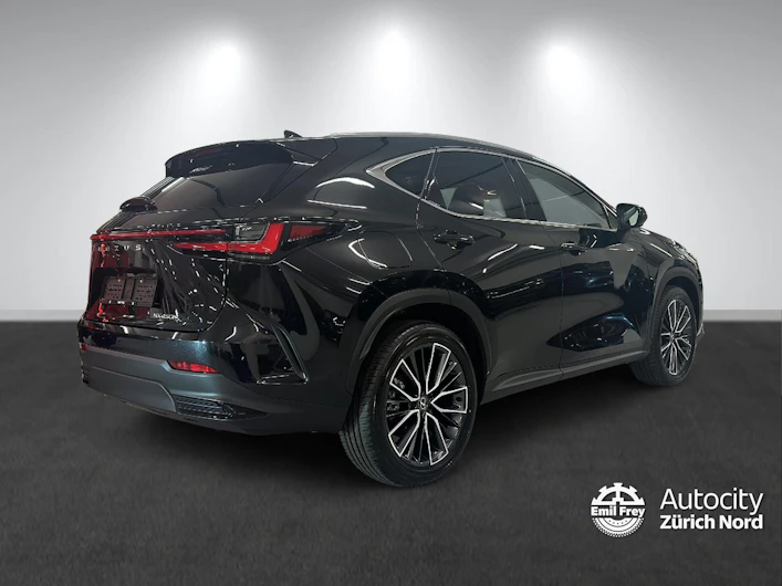 Fahrzeugbild LEXUS NX
