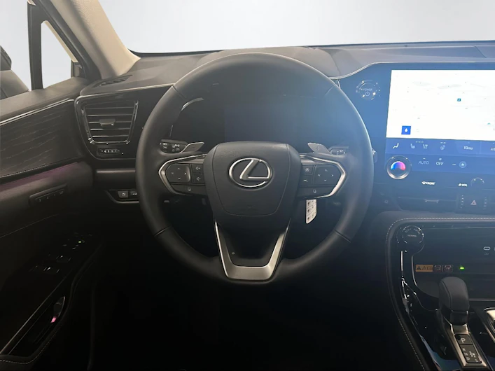 Fahrzeugbild LEXUS NX