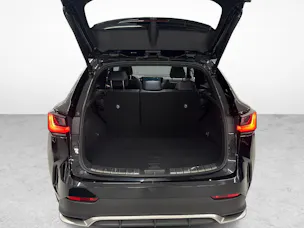 Lexus NX 450h+ F-Sport