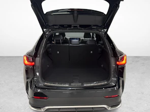 Fahrzeugbild LEXUS NX 450h+ F-Sport
