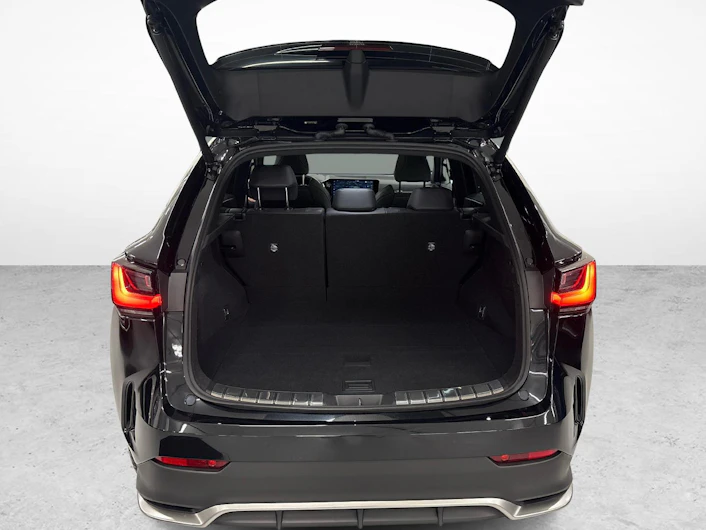 Fahrzeugbild LEXUS NX