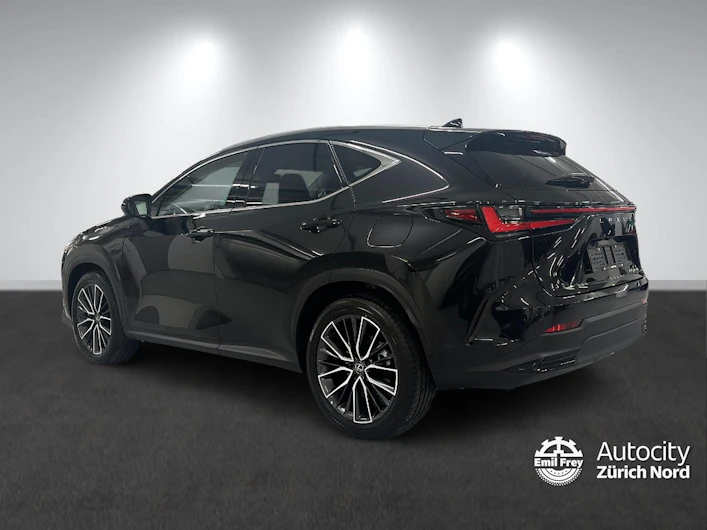 Fahrzeugbild LEXUS NX