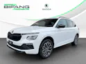 SKODA Kamiq 1.0 TSI Dynamic DSG