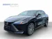 Lexus RZ 500e Excellence