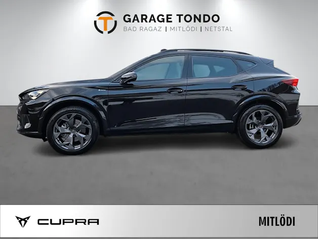 Cupra Formentor 2.0 TSI Prime Edition 4Drive DSG