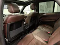 Mercedes-Benz ML 350 CDI BlueTec