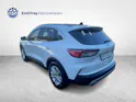 Ford Kuga 2.5 Hybrid Titanium X 4x4 inkl. Schiebedach!