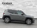 Jeep Renegade 1.3 Limited 4xe
