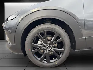 Mazda CX-30 SKYACTIV-X 186 M Hybrid Homura AWD AT