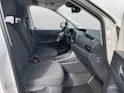 VW Caddy Cargo Entry 1.5 TSI DSG