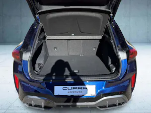 Cupra Terramar 1.5 eTSI DSG