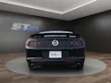 Ford MUSTANG GT COUPE California Special