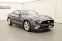 Ford Mustang GT 5.0