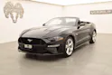Ford Mustang GT 5.0 Convertible