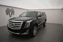 Cadillac Escalade 6.2 ESV Premium