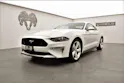 Ford Mustang GT 5.0