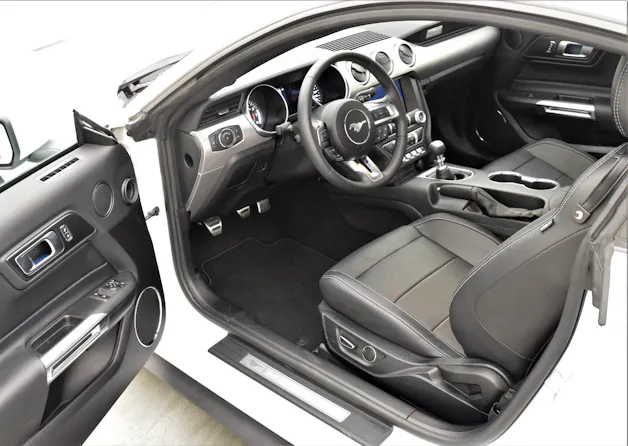 Ford Mustang GT 5.0