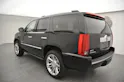 Cadillac Escalade 6.2 Platinum Edition