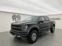 Ford F-150 Raptor 3.5 EcoBoost HO Crew Cab